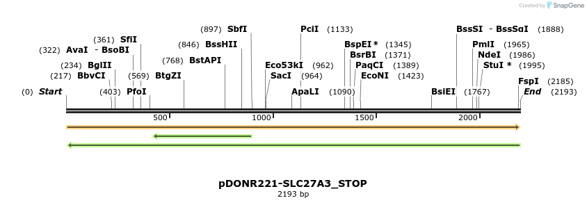 312499_map