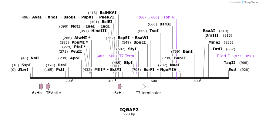 31250_map
