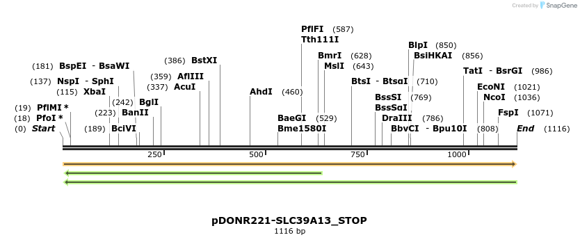 312501_map