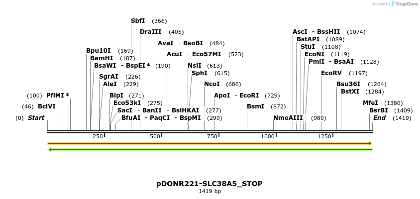312503_map