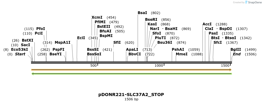 312505_map
