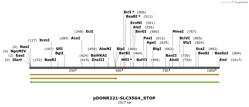 312507_map