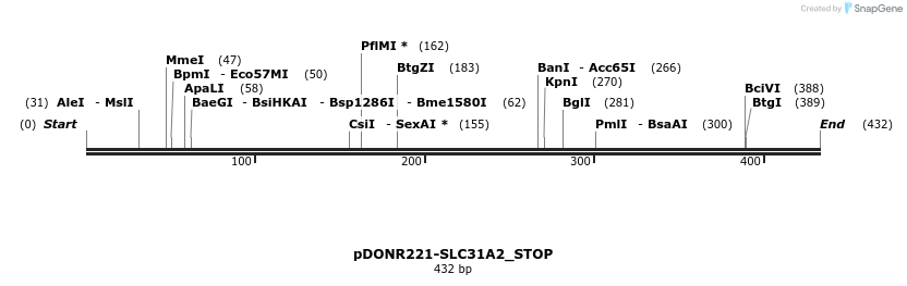 312515_map