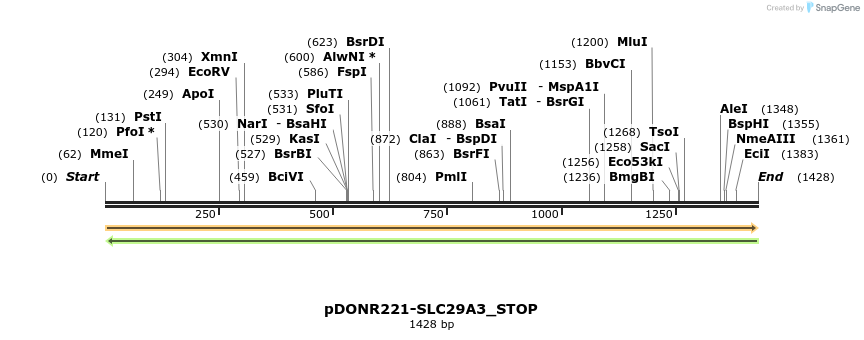 312521_map