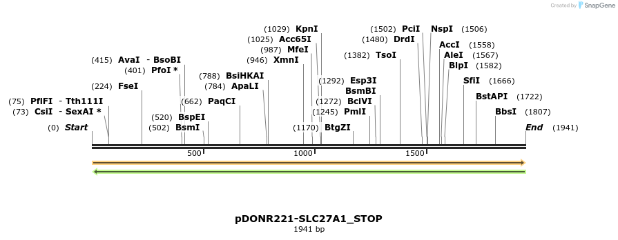 312523_map