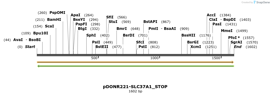 312529_map