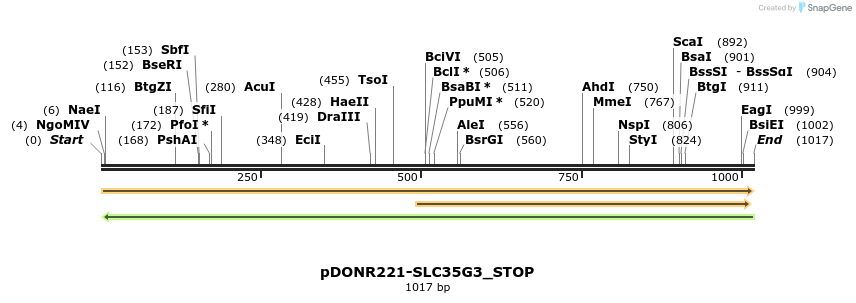 312531_map