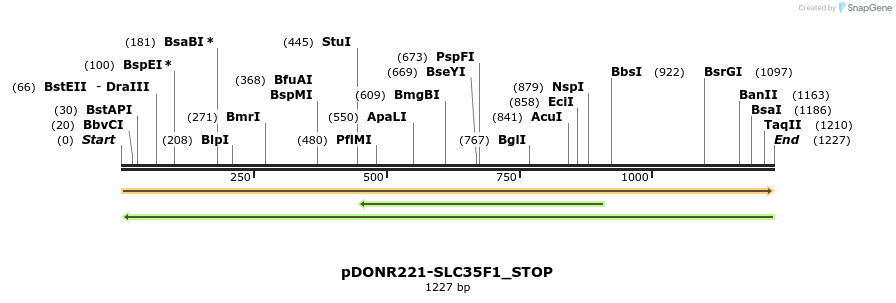 312533_map