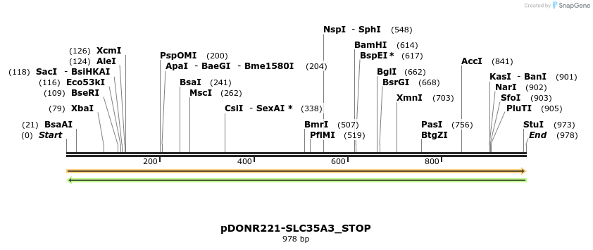 312537_map