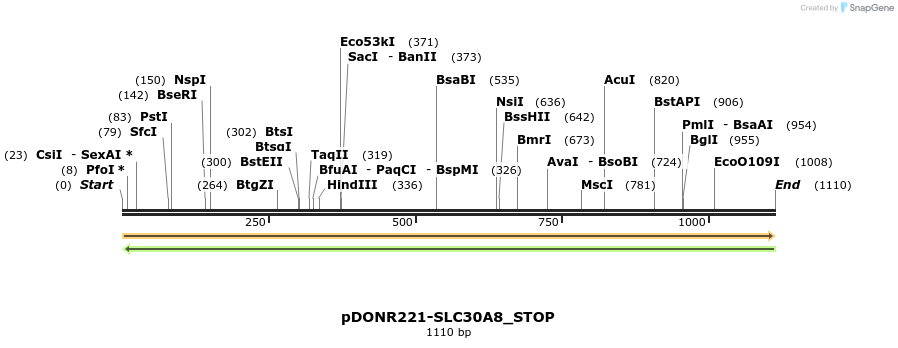 312539_map