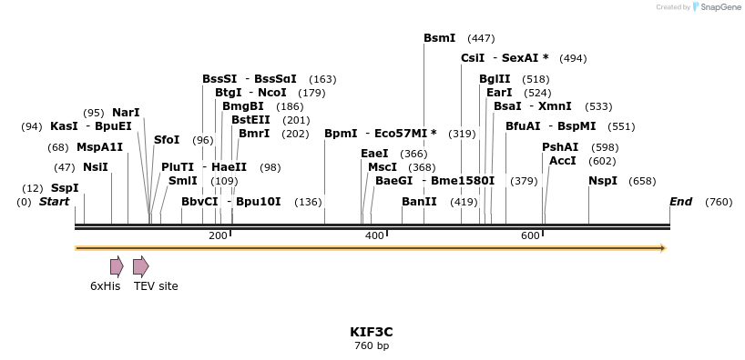 31254_map