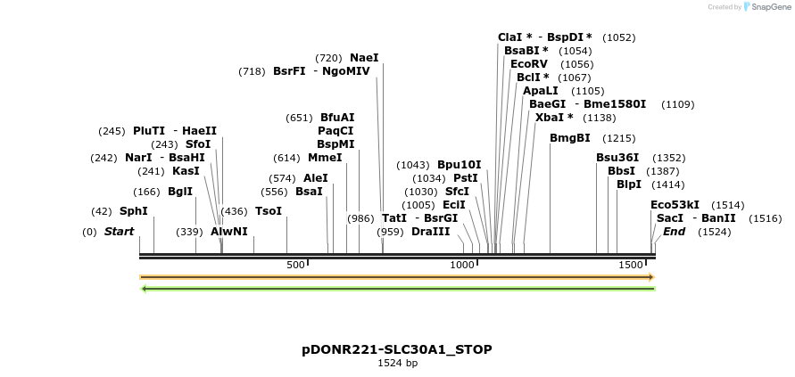 312541_map