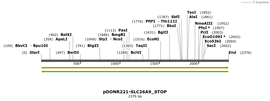 312547_map