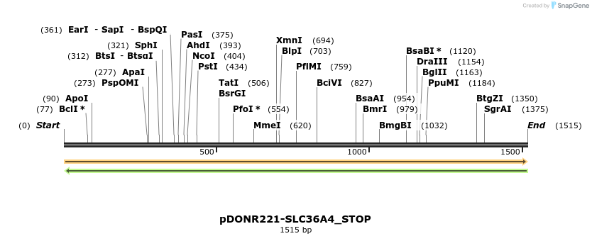 312553_map