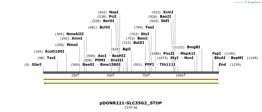 312555_map
