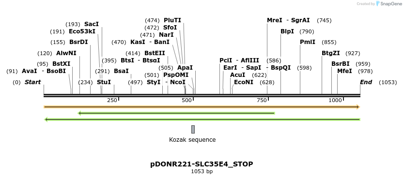 312557_map