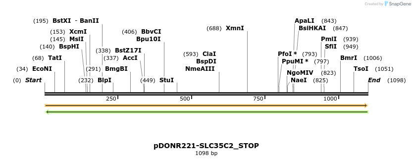 312559_map