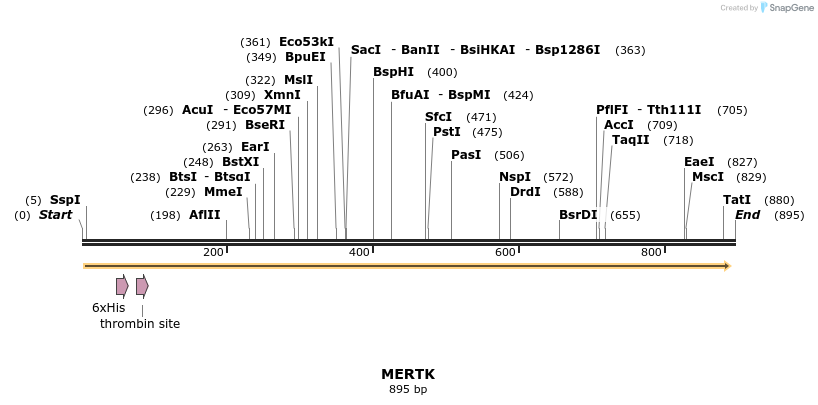 31256_map