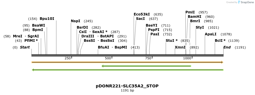 312561_map