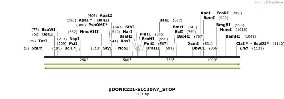 312563_map