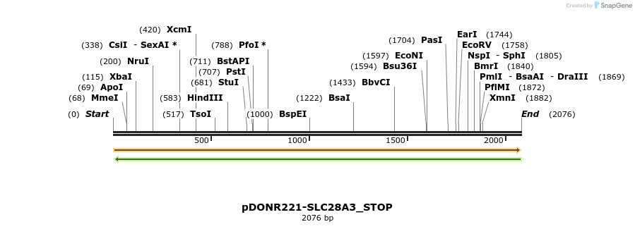 312569_map