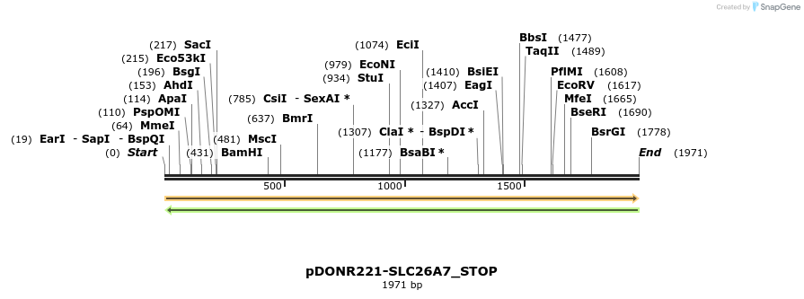 312571_map