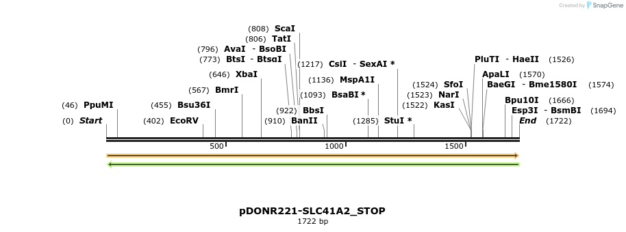 312575_map