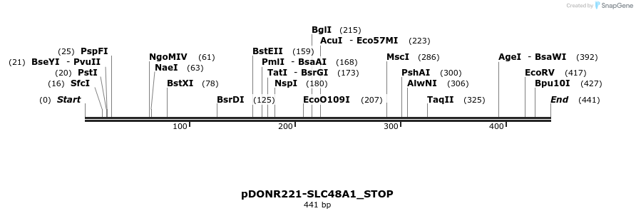 312579_map