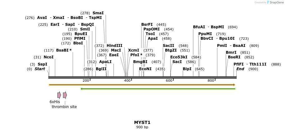 31258_map