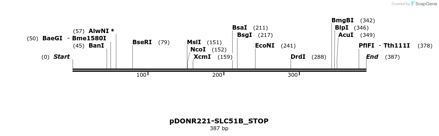 312581_map