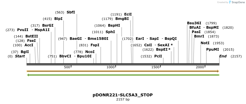 312583_map