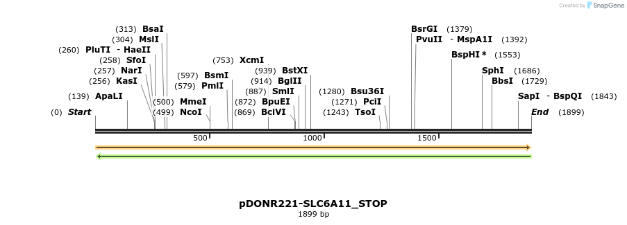 312585_map