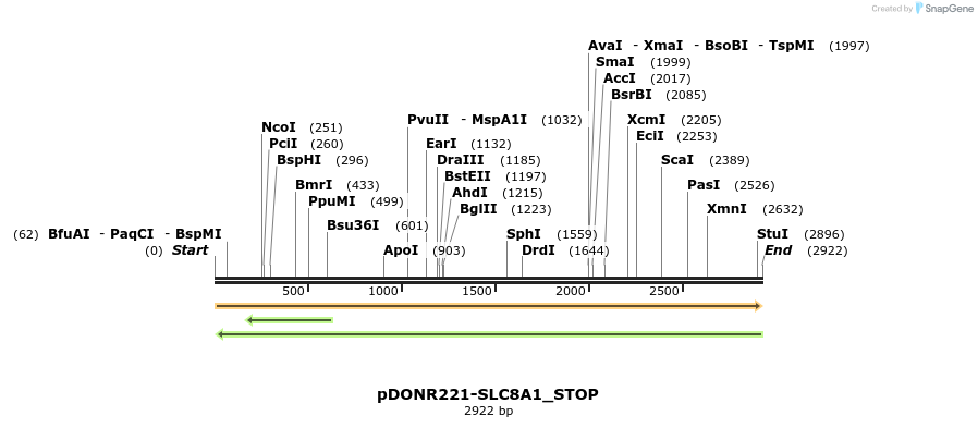 312591_map
