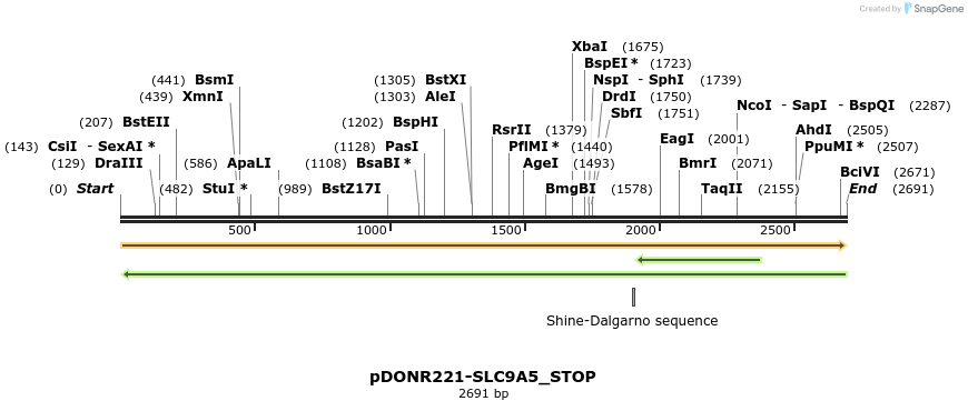 312593_map