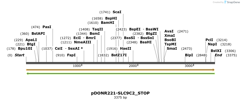 312595_map