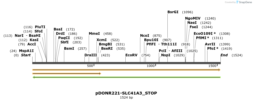 312599_map