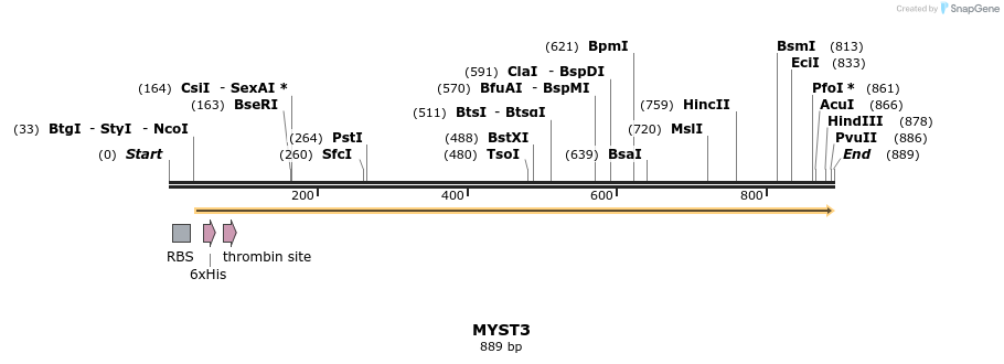 31260_map