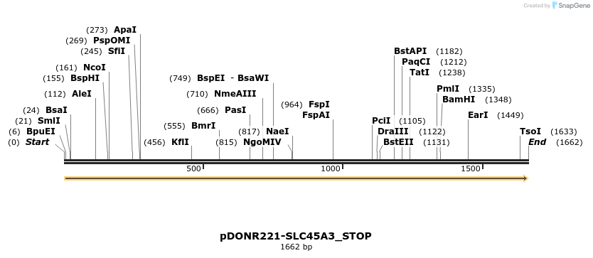 312601_map