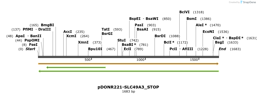312603_map