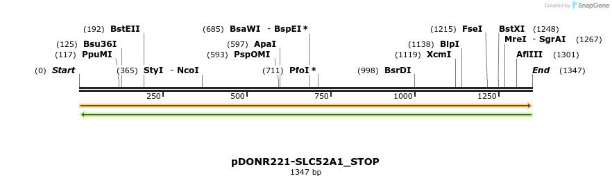 312605_map