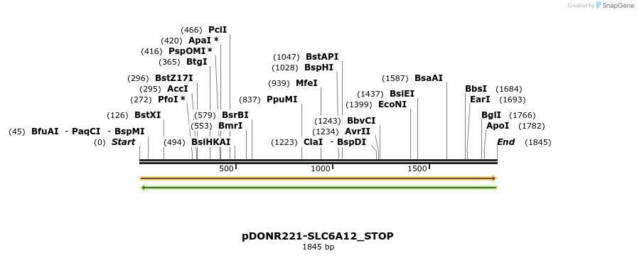 312609_map