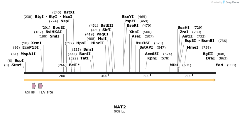 31261_map