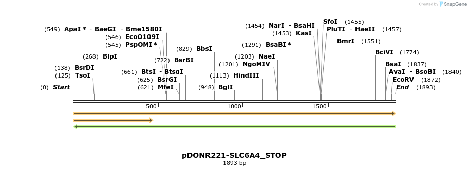 312611_map
