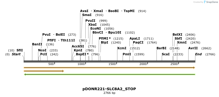 312615_map