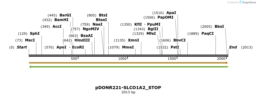 312619_map