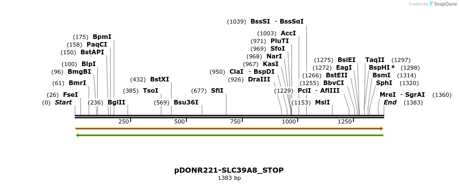 312621_map
