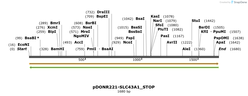 312623_map
