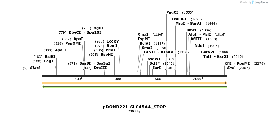 312625_map