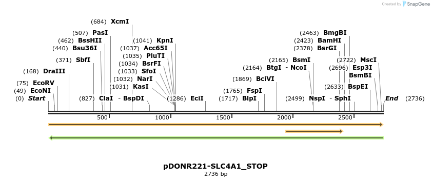 312627_map