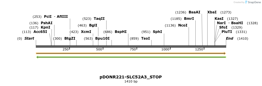 312629_map